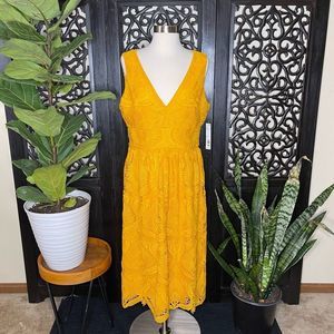 NEW Gianni Bini Marigold Lace Dress